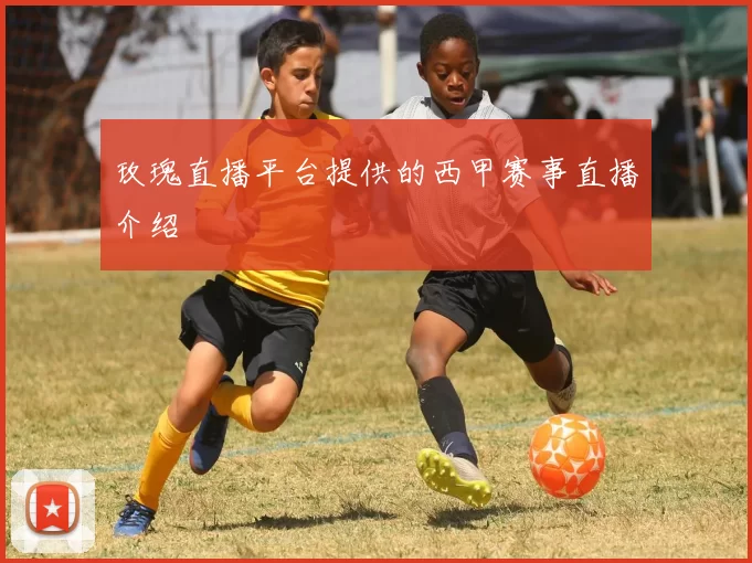 玫瑰直播平台提供的西甲赛事直播介绍