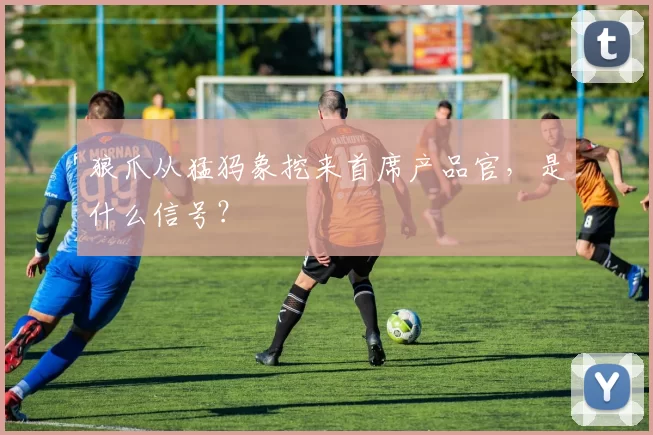 狼爪从猛犸象挖来首席产品官,是什么信号?