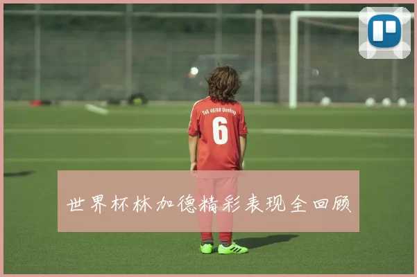 世界杯林加德精彩表现全回顾