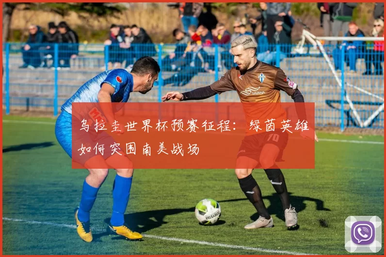 乌拉圭世界杯预赛征程:绿茵英雄如何突围南美战场