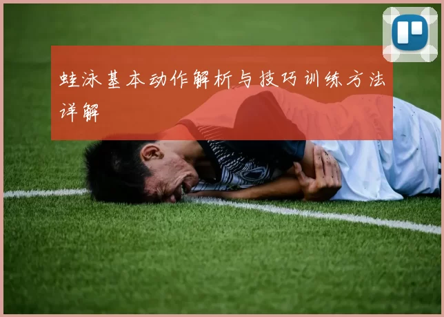 蛙泳基本动作解析与技巧训练方法详解