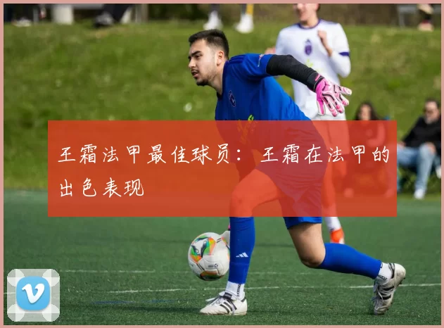 王霜法甲最佳球员:王霜在法甲的出色表现
