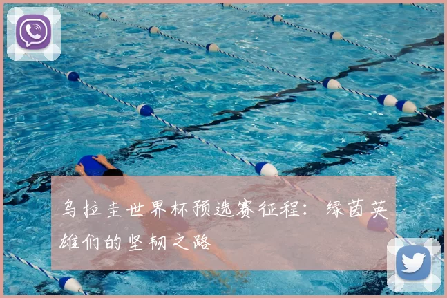 乌拉圭世界杯预选赛征程:绿茵英雄们的坚韧之路