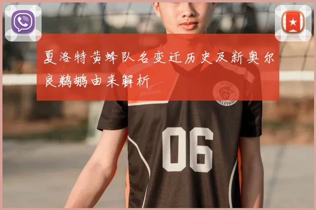 夏洛特黄蜂队名变迁历史及新奥尔良鹈鹕由来解析