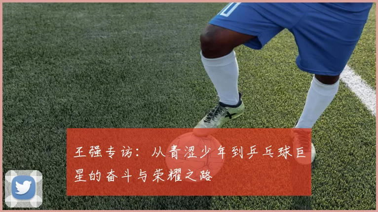 王强专访:从青涩少年到乒乓球巨星的奋斗与荣耀之路