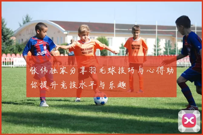 张伟独家分享羽毛球技巧与心得助你提升竞技水平与乐趣