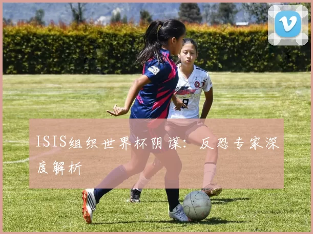 ISIS组织世界杯阴谋:反恐专家深度解析