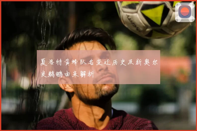 夏洛特黄蜂队名变迁历史及新奥尔良鹈鹕由来解析