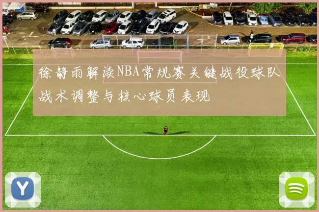 徐静雨解读NBA常规赛关键战役球队战术调整与核心球员表现